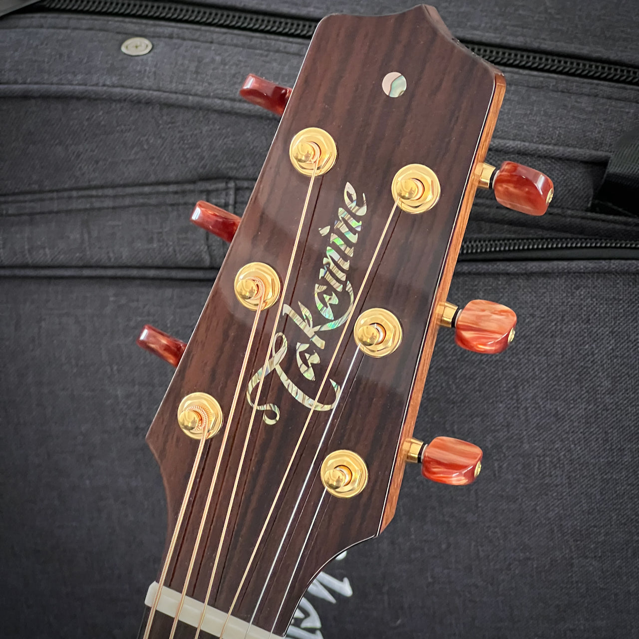Takamine TSF48C Santa Fe NEX Cutaway Acoustic/Electric Guitar w/ Case