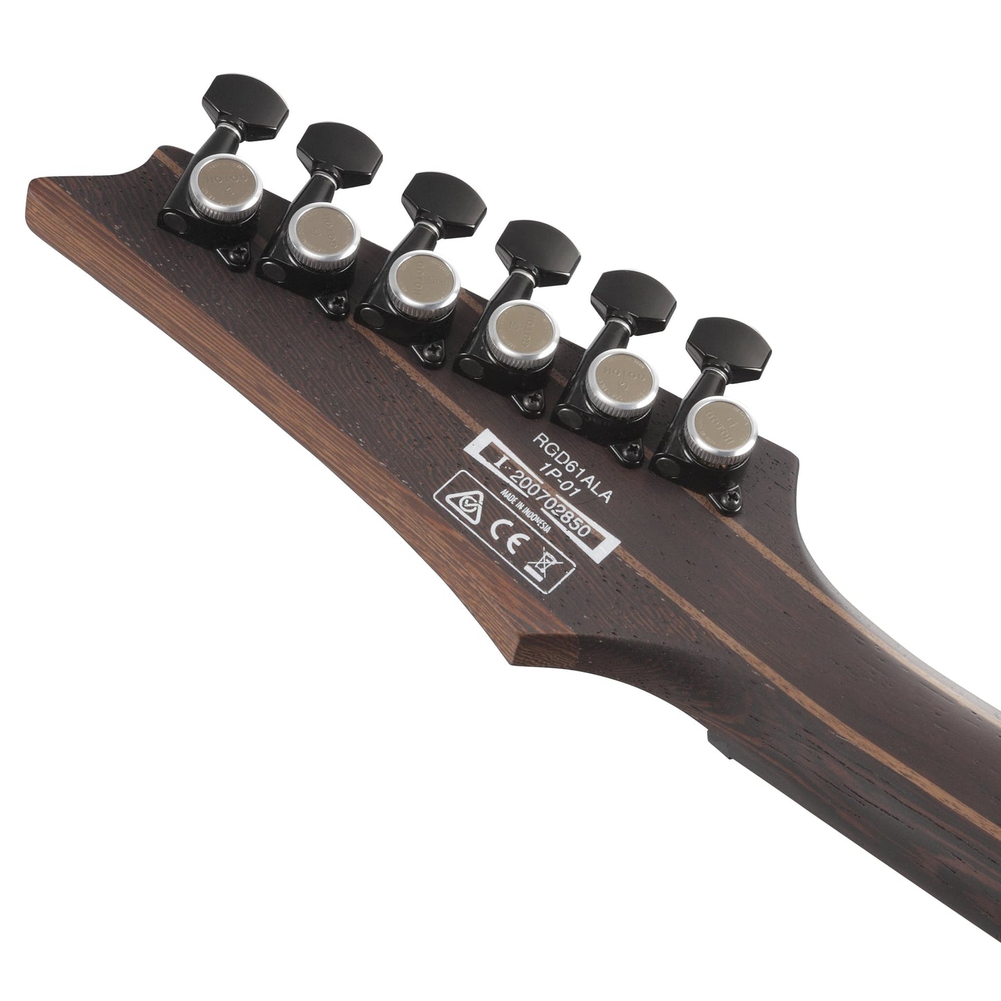 Ibanez RGD61ALAMTR, RGD Axion Label 6-String Electric Guitar - Midnight Tropical Rainforest (2025 Model Closeout)