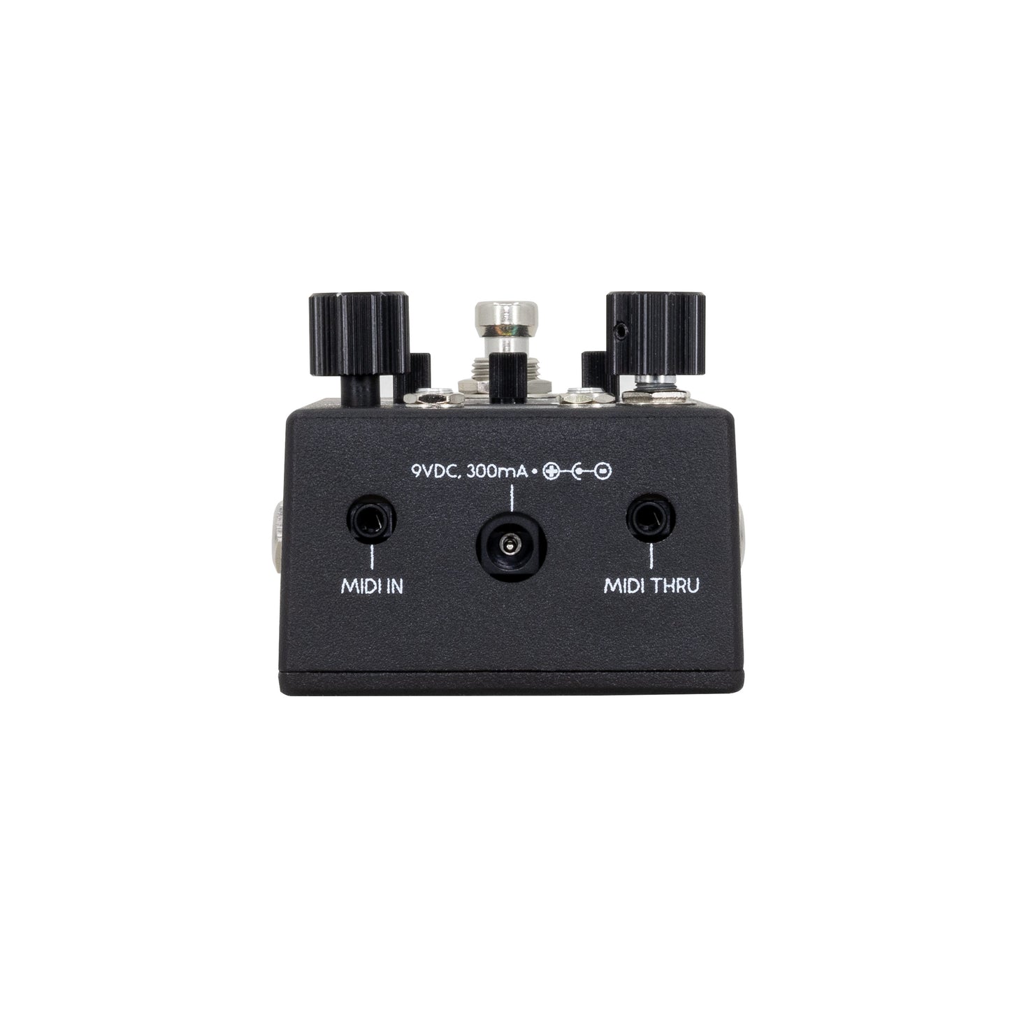 Walrus Audio Canvas Rehearsal Pedal (Stereo Headphone Amp, Metronome, Aux/Bluetooth, Amazing Practice Tool)