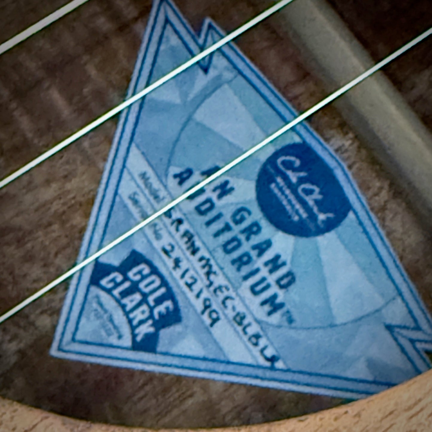 Cole Clark Studio Recording Grand Auditorium, Mastergrade Blackwood Face Back & Sides, Rosewood Fretboard & Bridge (CCSRANMGEC-BLBLR)