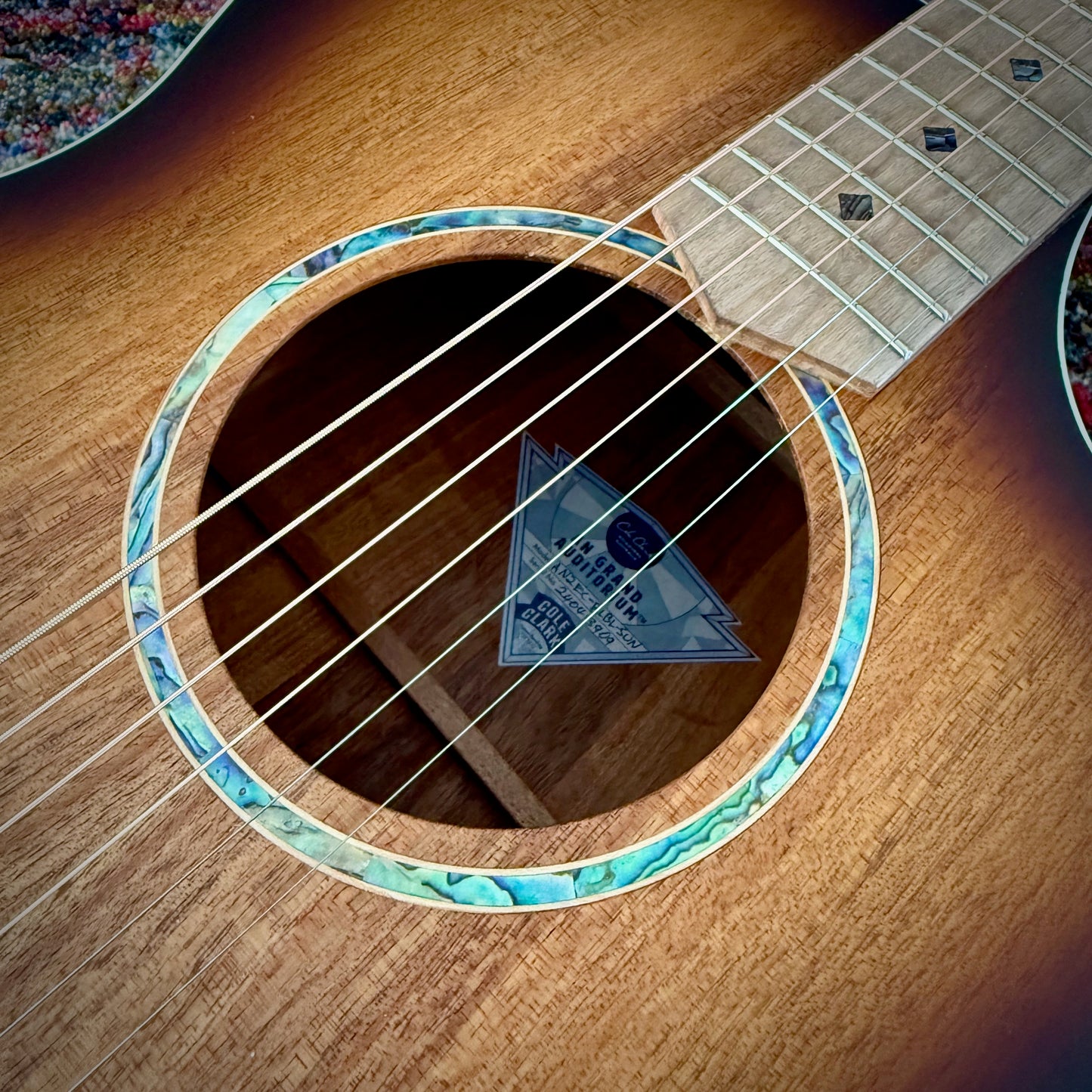 Cole Clark AN Grand Auditorium, Australian Blackwood Face back & sides, cutaway, Sunburst, white binding (CCAN2EC-BLBL-SUN)