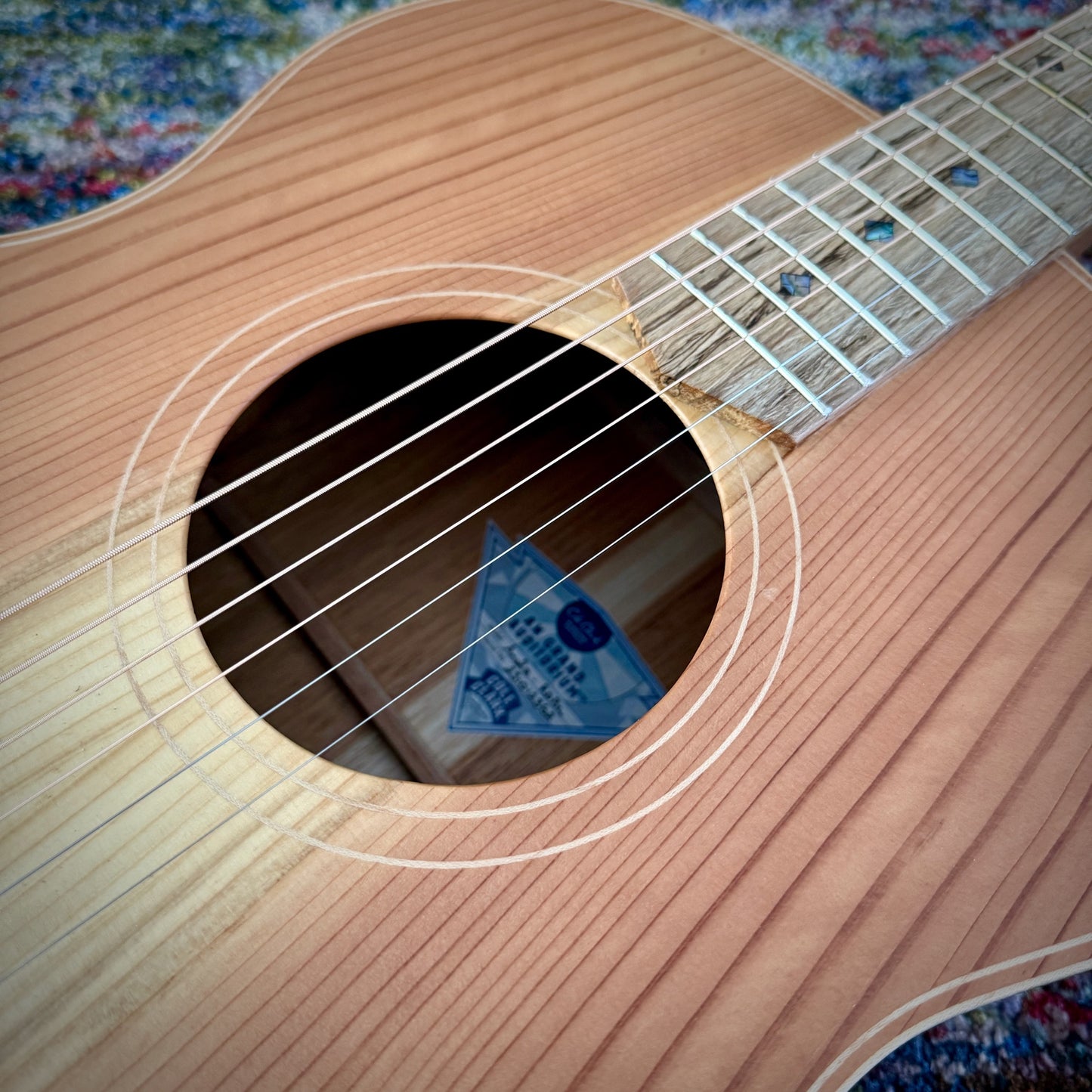 Cole Clark AN2E Grand Auditorium Redwood Face, Blackwood Back & Sides (CCAN2E-RDBL)