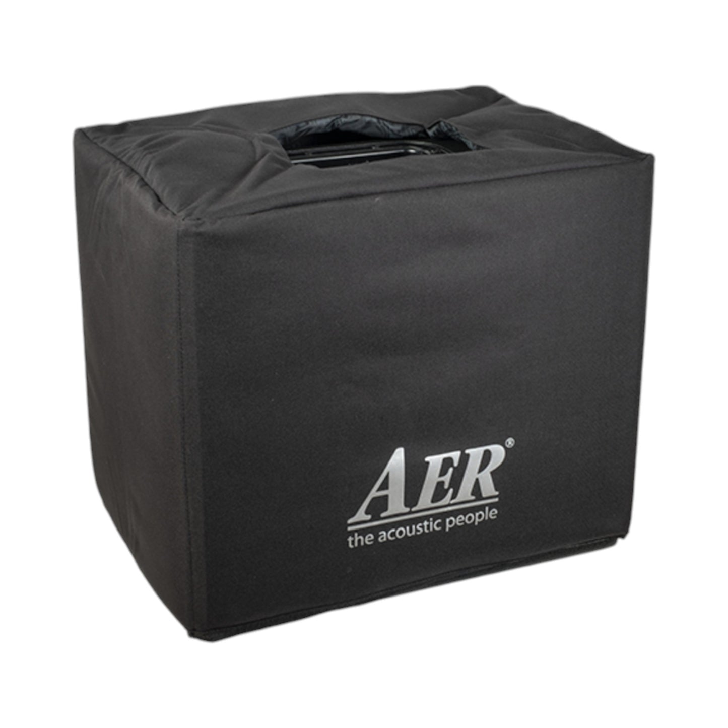 AER DOMINO-3 200W Acoustic Guitar Combo Amp