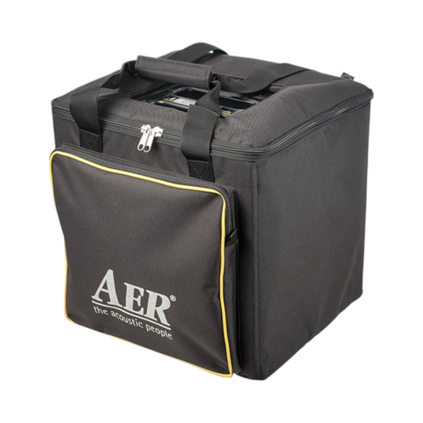 AER COMPACT-MOBILE/2 60W Acoustic Guitar Combo Amp