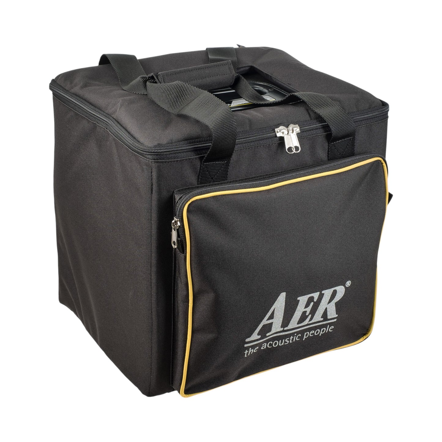 AER COMPACT-80-PRO 80W Acoustic Guitar Combo Amp