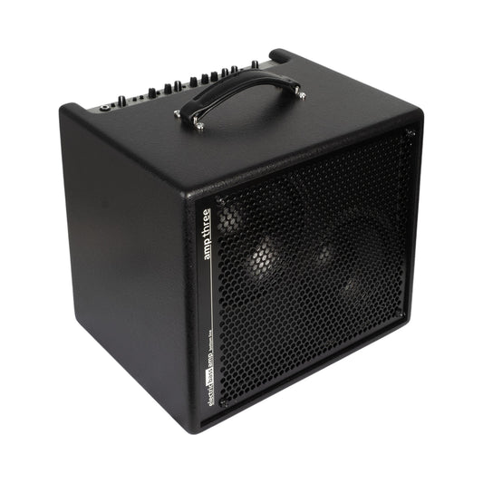 AER AMP-THREE 200W Electric Bass Combo Amp