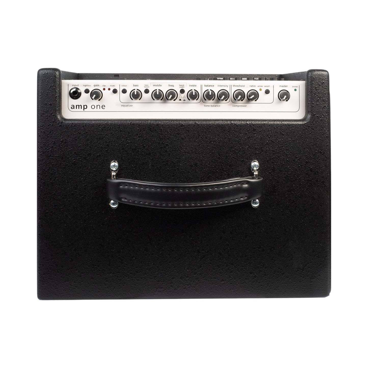 AER AMP-ONE 200W Electric Bass Combo Amp