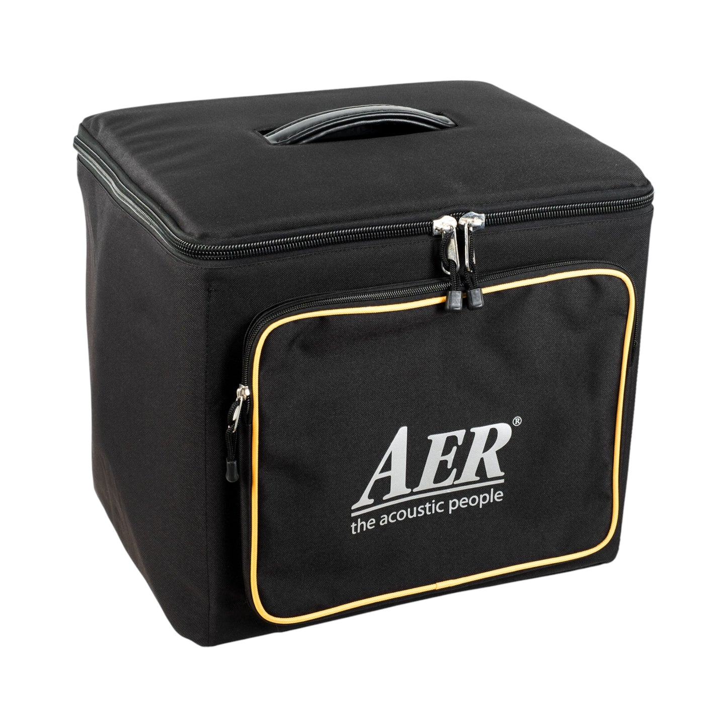 AER AMP-ONE 200W Electric Bass Combo Amp