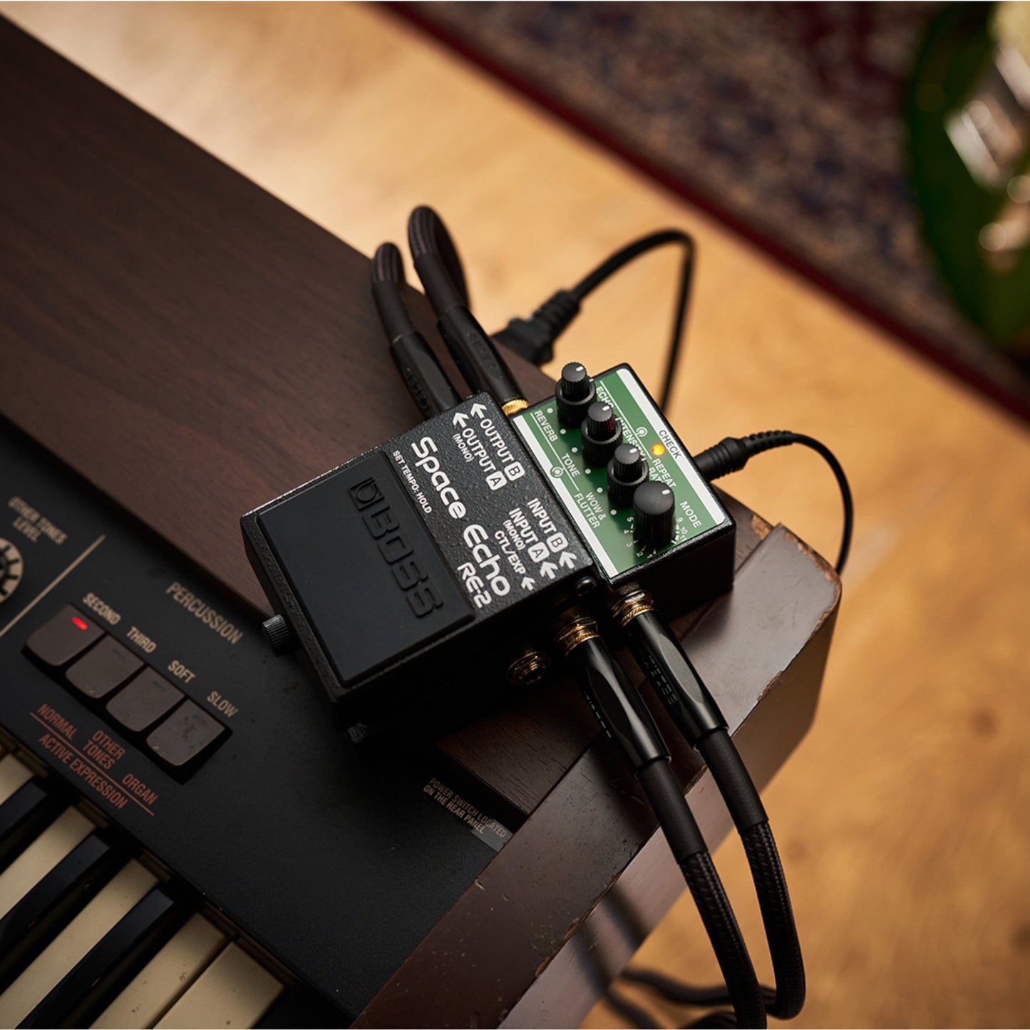 Boss RE-2 Compact Space Echo Delay Guitar Pedal