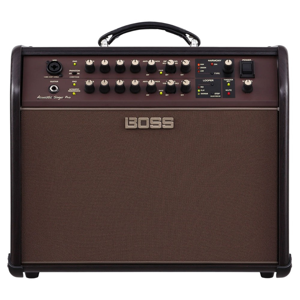 Roland ACS-PRO Acoustic Singer Pro