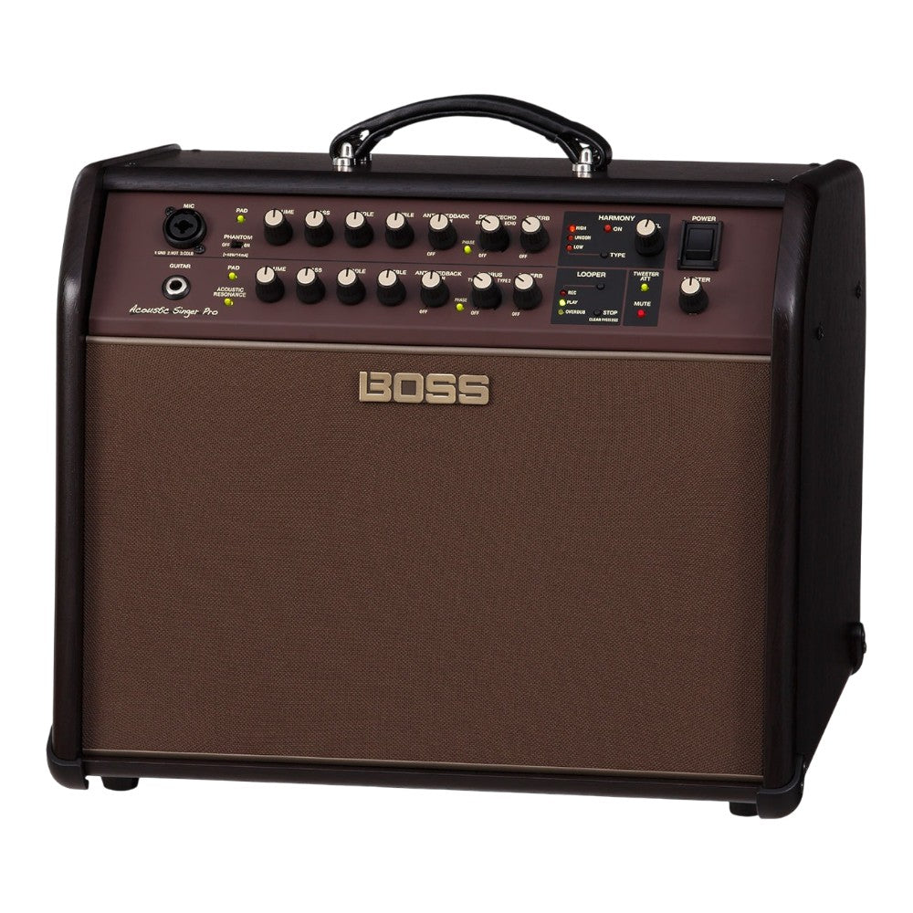 Roland ACS-PRO Acoustic Singer Pro