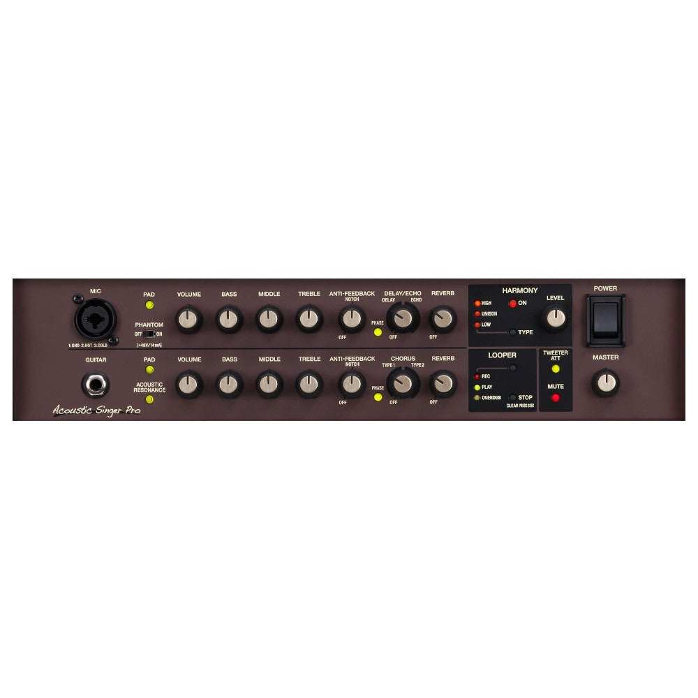 Roland ACS-PRO Acoustic Singer Pro