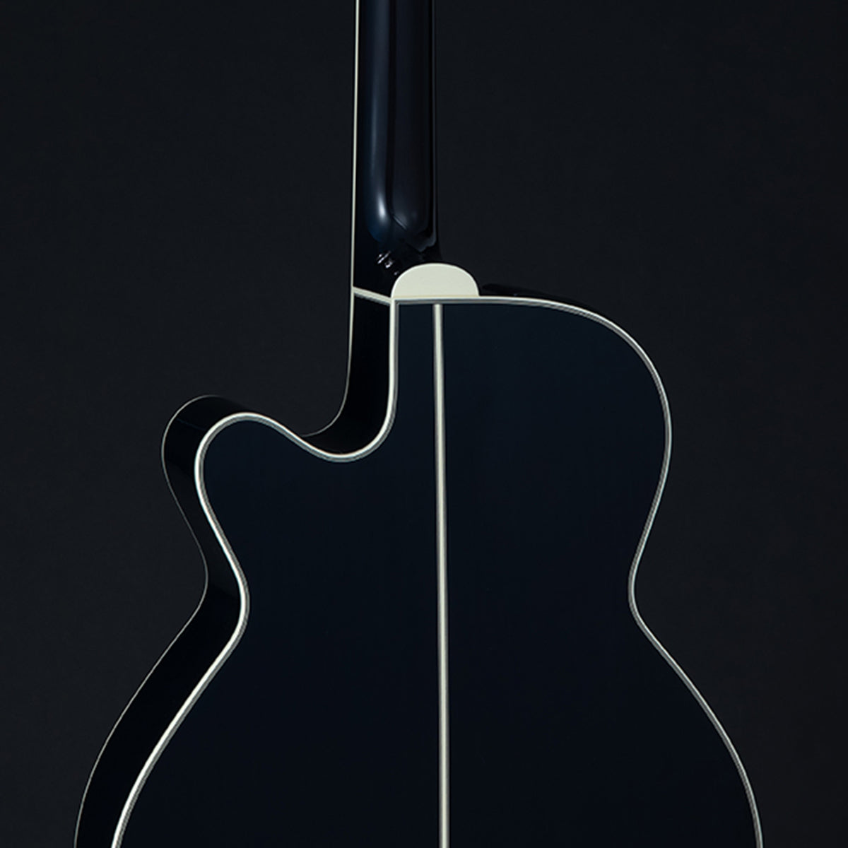 Takamine "Solar System" Limited Edition LTD2024 Acoustic-Electric Guitar (2024)