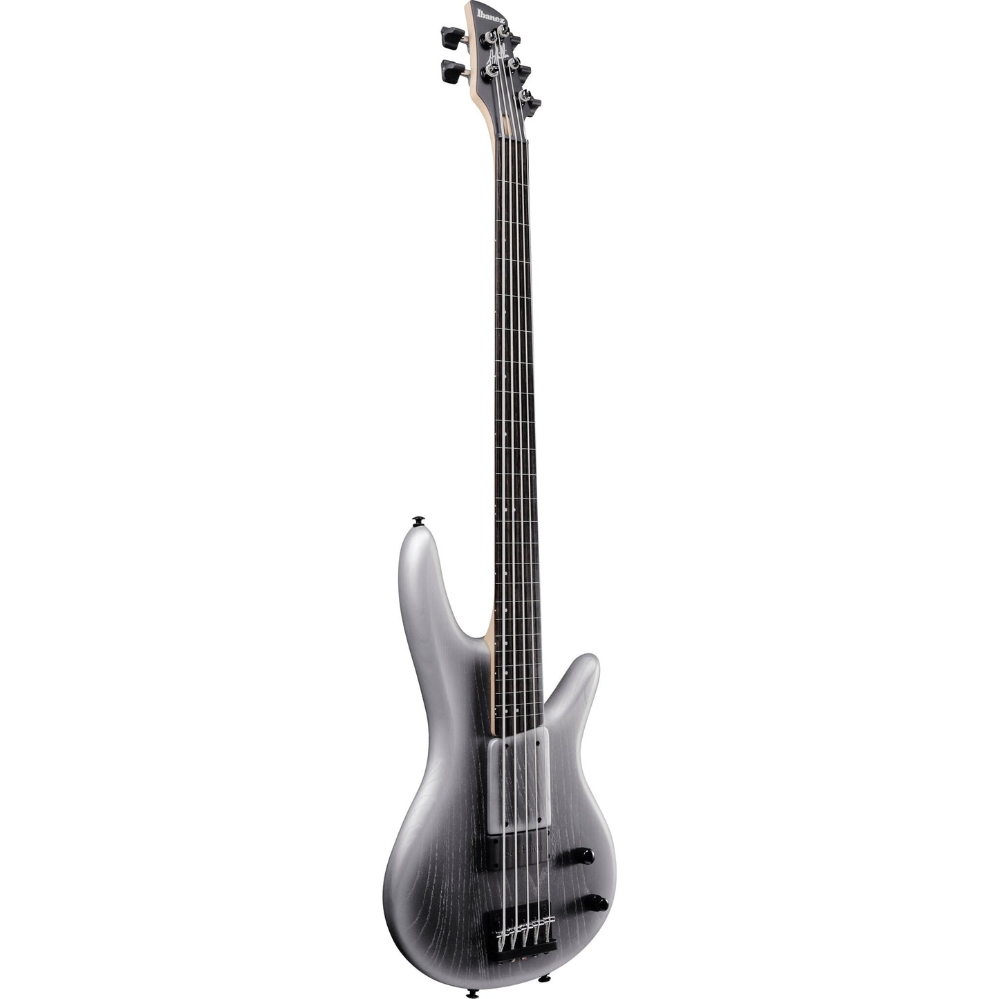 Ibanez Premium Gary Willis Signature 5-String Fretless Electric Bass w/Bag - Silver Wave Burst Flat (2024 Model Closeout)