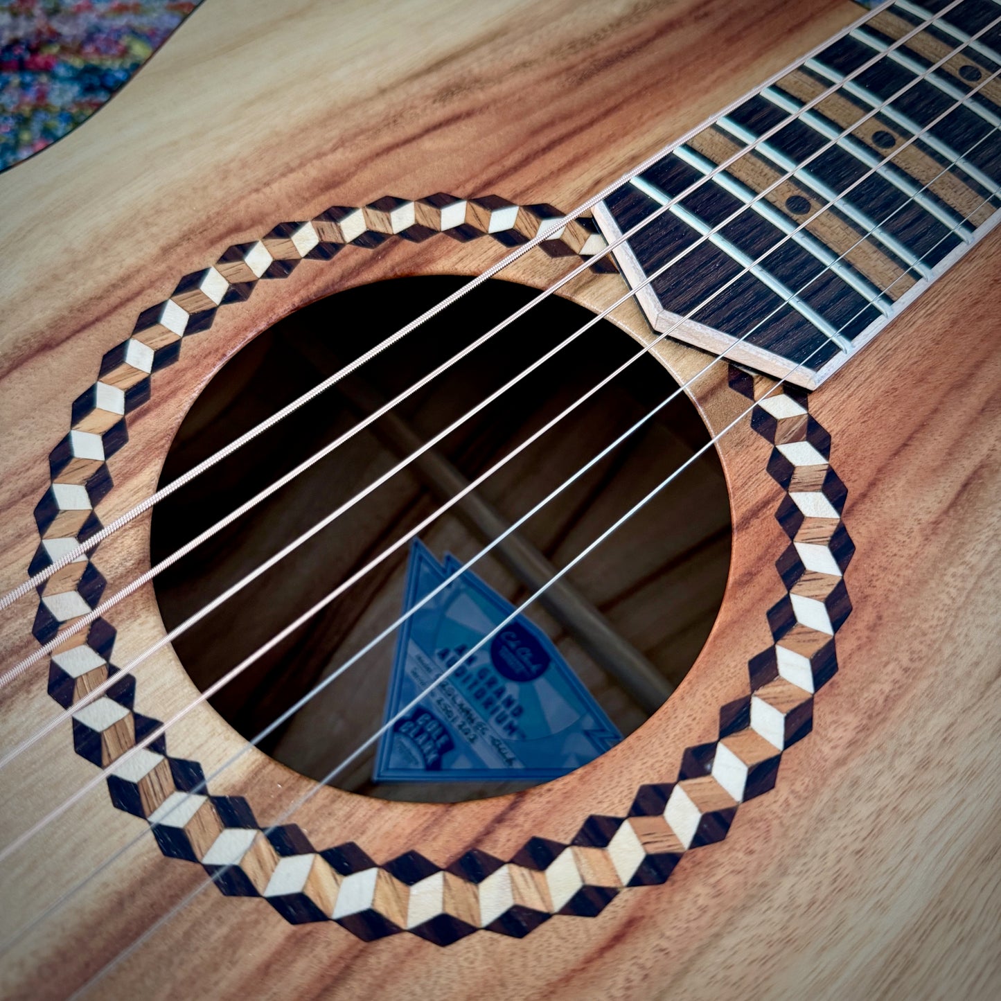 Cole Clark CCSRDLXANEC-CLCLR Studio Recording Deluxe Grand Auditorium, Camphor Laurel top, back, sides, Tortoise Binding, Stunning Rosewood Fretboard and Rosette Inlays (2501202)