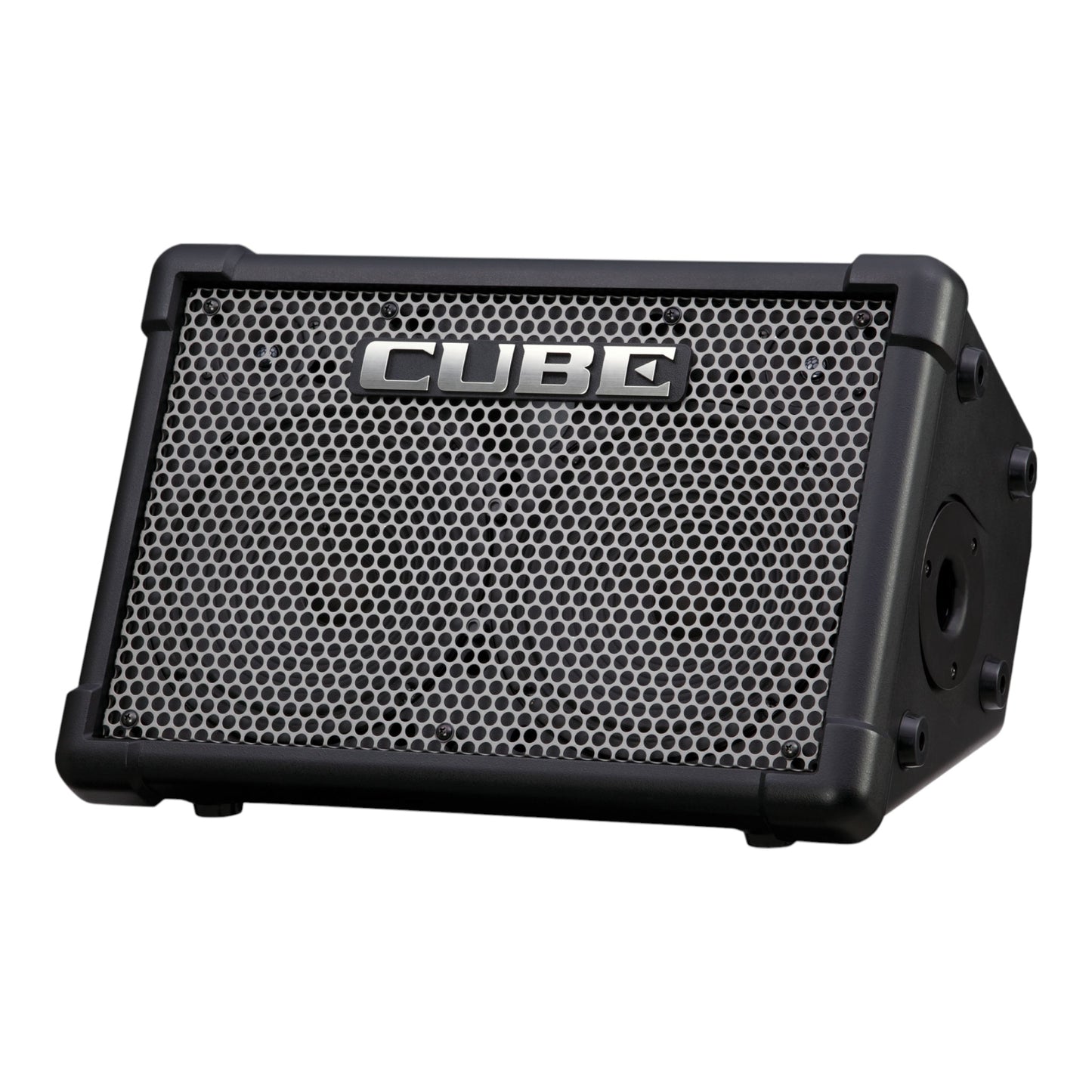 Roland CUBE-ST-EX CUBE Street EX Battery Powered Stereo Amplifier