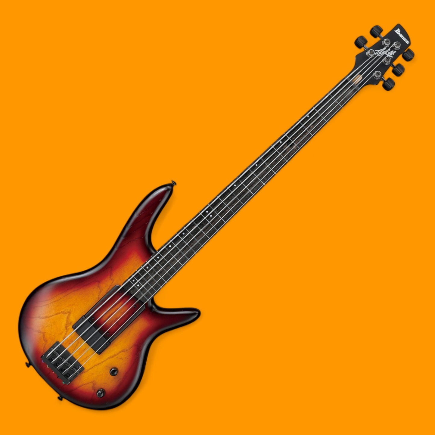 Ibanez Gary Willis Signature GWB205 5-String Fretless (Lined) Bass Guitar - Tequila Sunrise Flat [USED-MINT]