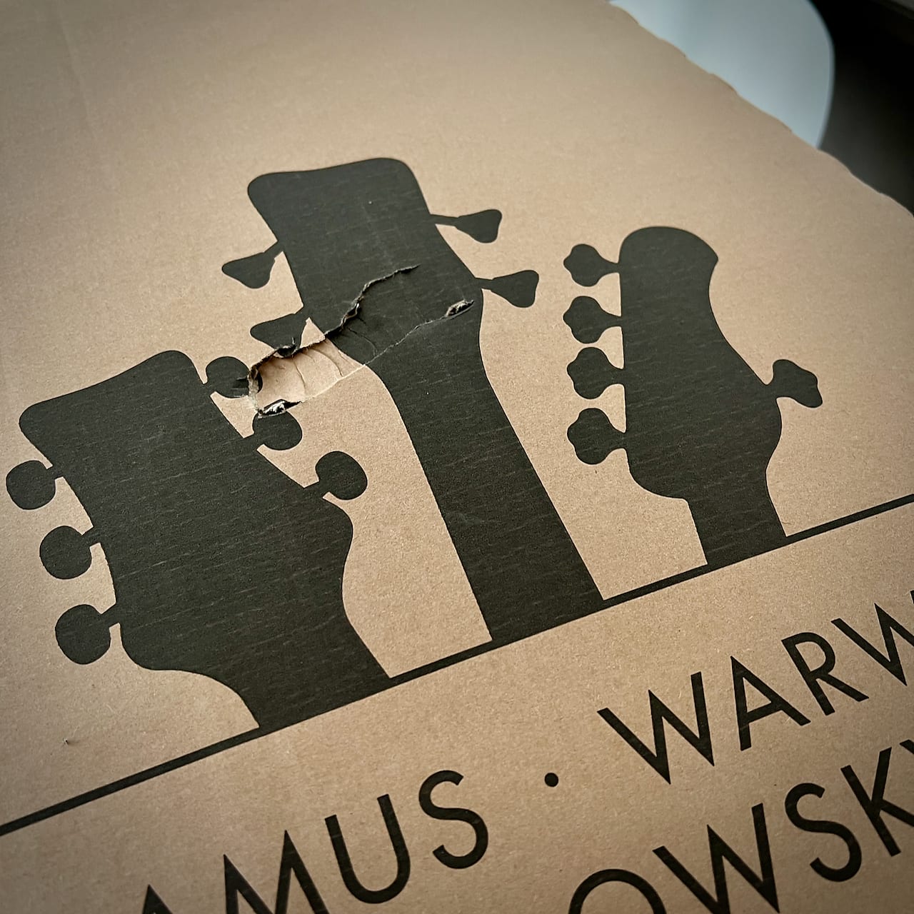 Warwick Pro Series Thumb BO 4-String, Natural Transparent Satin (2022) (B-Stock)