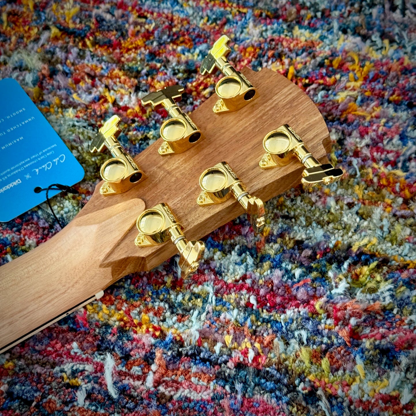 Cole Clark AN3EC-BLBLE Angel Cutaway all AAA Australian Blackwood with Ebony Fretboard and Waist Inlays
