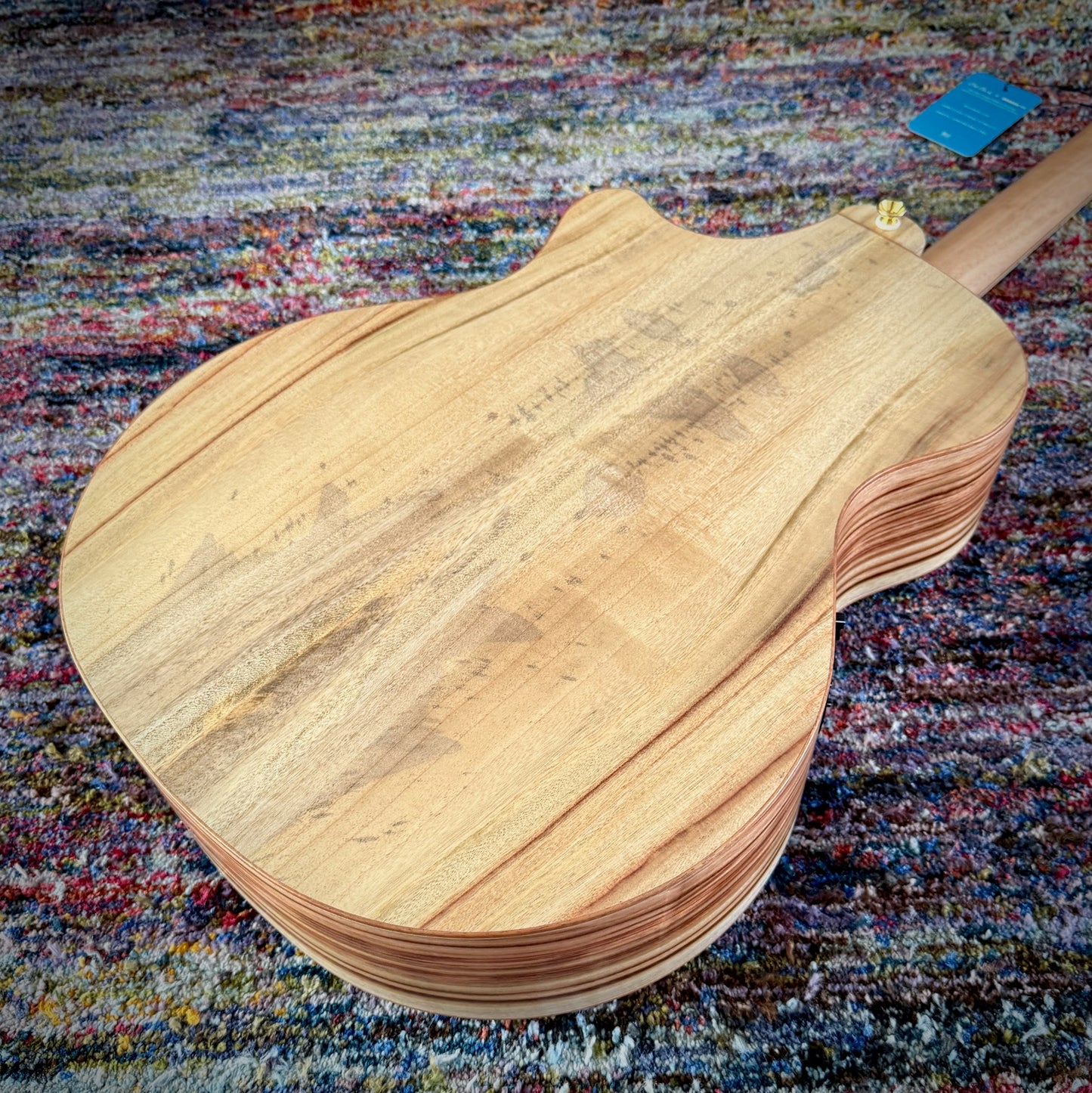 Cole Clark AN3EC Angel Cutaway Acoustic Electric Guitar with all AAA Camphor Laurel (CCAN3EC-CLCL-AE) - Looks, Sounds, and Smells Delicious