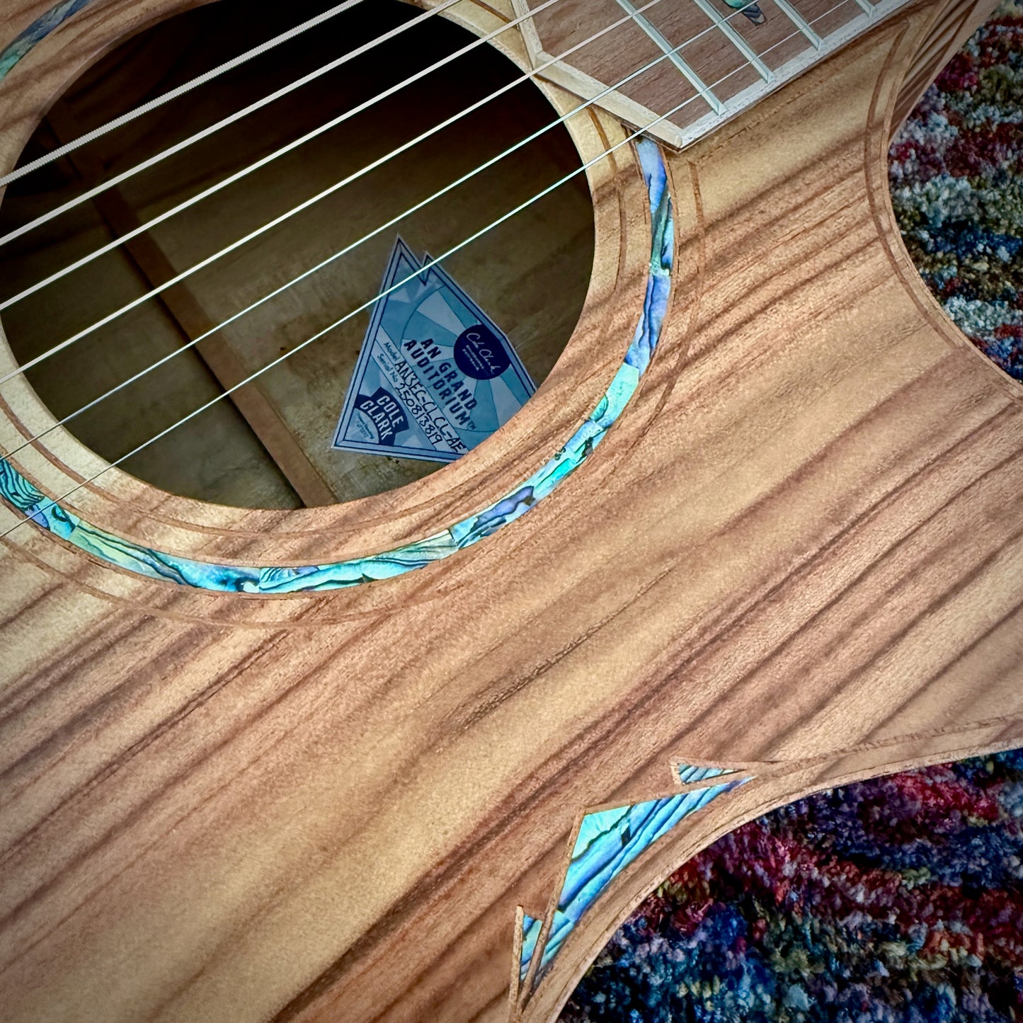 Cole Clark AN3EC Angel Cutaway Acoustic Electric Guitar with all AAA Camphor Laurel (CCAN3EC-CLCL-AE) - Looks, Sounds, and Smells Delicious