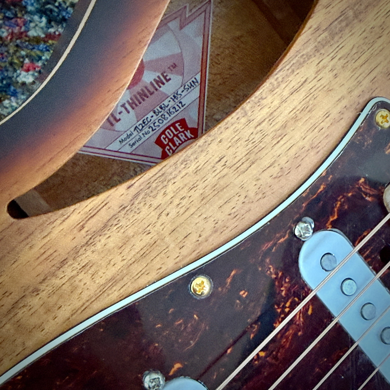 Cole Clark TL2EC True Hybrid Acoustic Electric Guitar - All Blackwood HSS Sunburst (CCTL2EC-BLBL-AE-HSS-SUN)