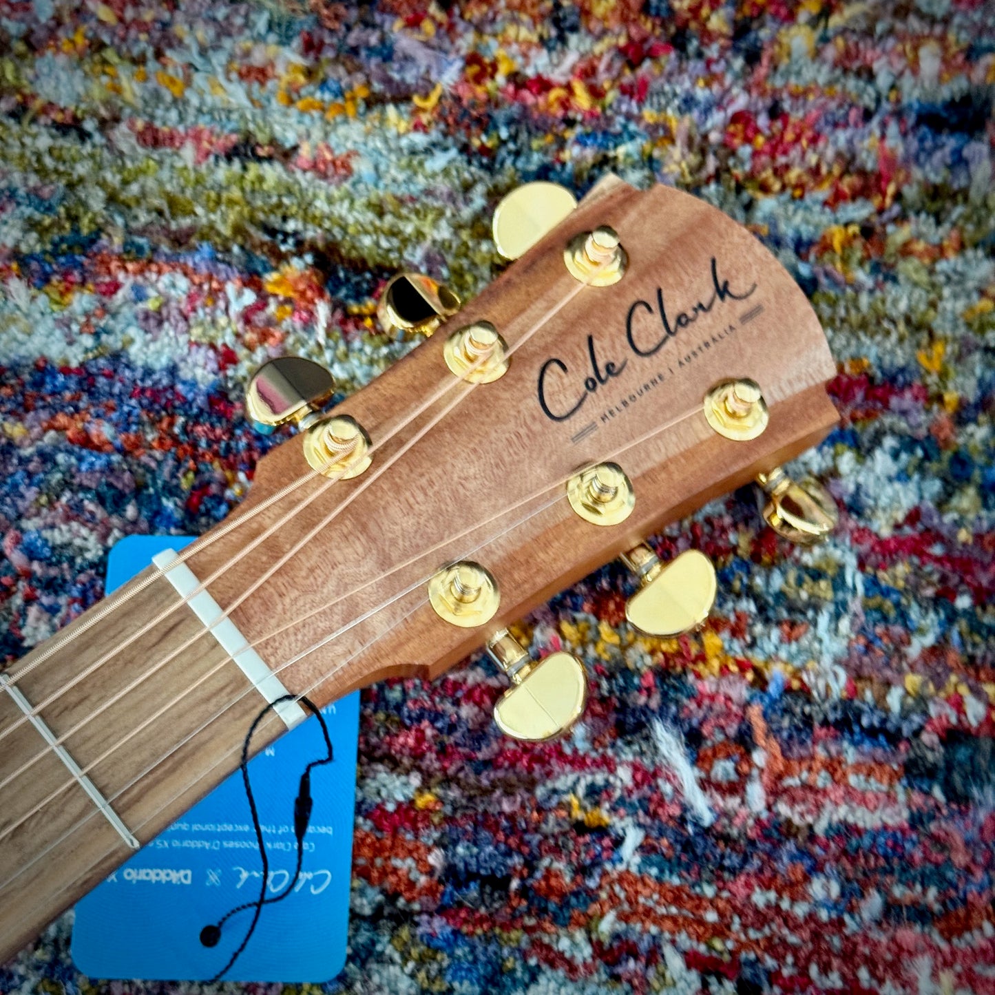 Cole Clark TL2EC True Hybrid Thinline All AA Australian Blackwood HSS (CCTL2EC-BLBL-AE-HSS)