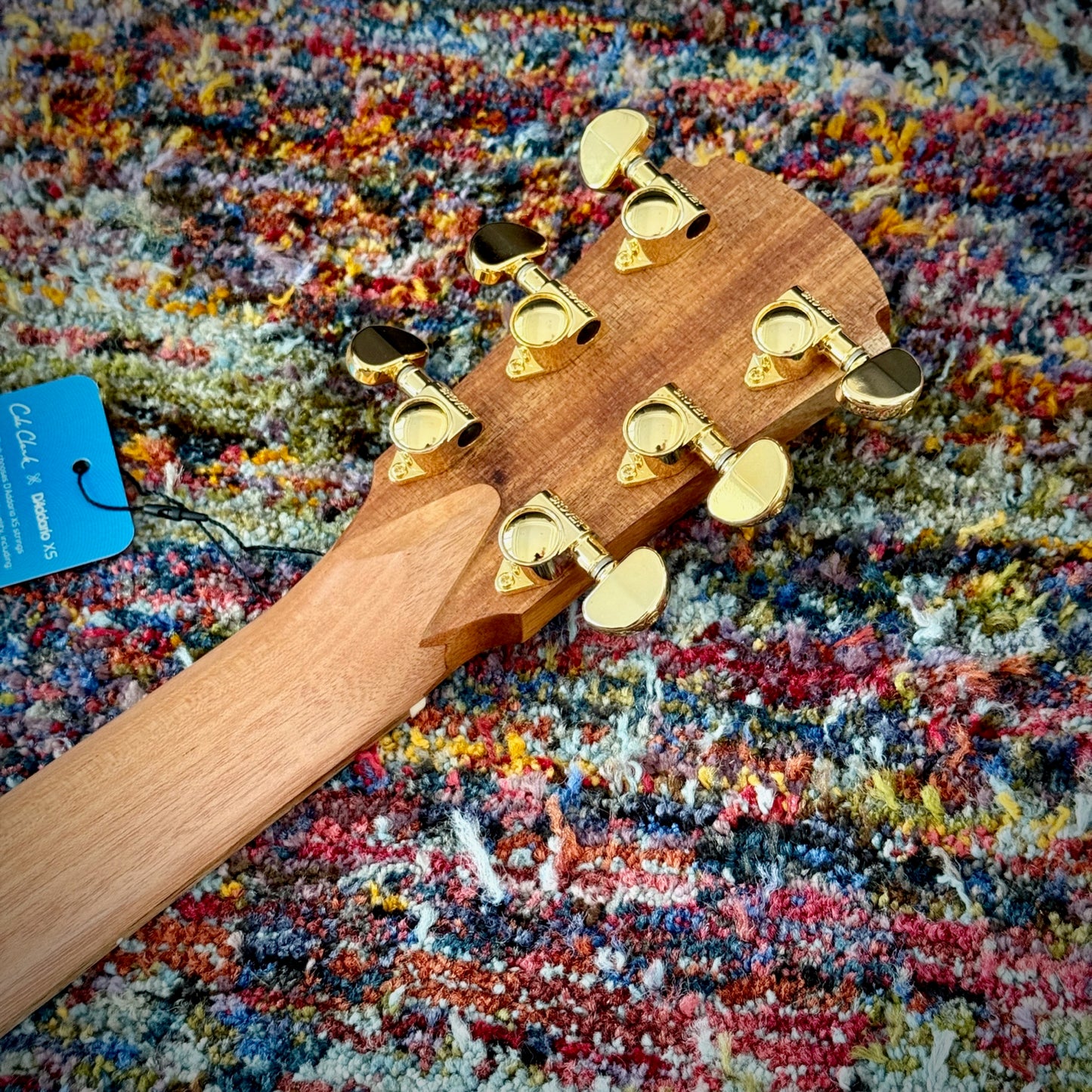 Cole Clark TL2EC True Hybrid Thinline All AA Australian Blackwood HSS (CCTL2EC-BLBL-AE-HSS)