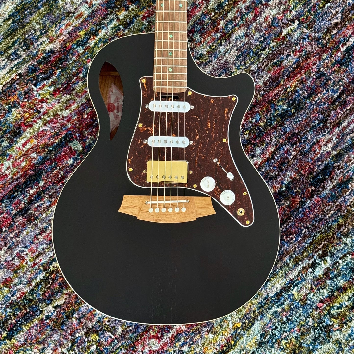 Cole Clark TL2EC Thinline True Hybrid, Blackwood,  HSS, Black Satin [B-STOCK] (CCTL2EC-BLBL-HSS-BLK), with Original Hardshell Case