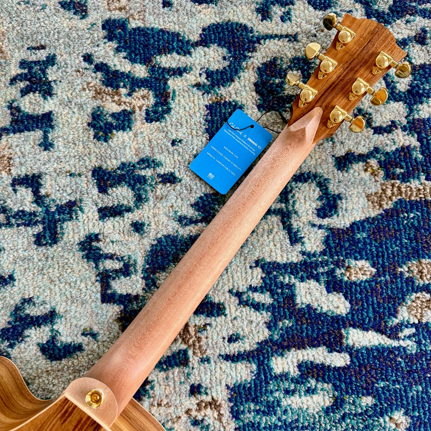 Cole Clark FL2EC-BLBLR Touring Series Dreadnought Acoustic-Electric Guitar, All AA Australian Blackwood with Rosewood Fretboard and Bridge SNRW39534 [NAMM Showcase]