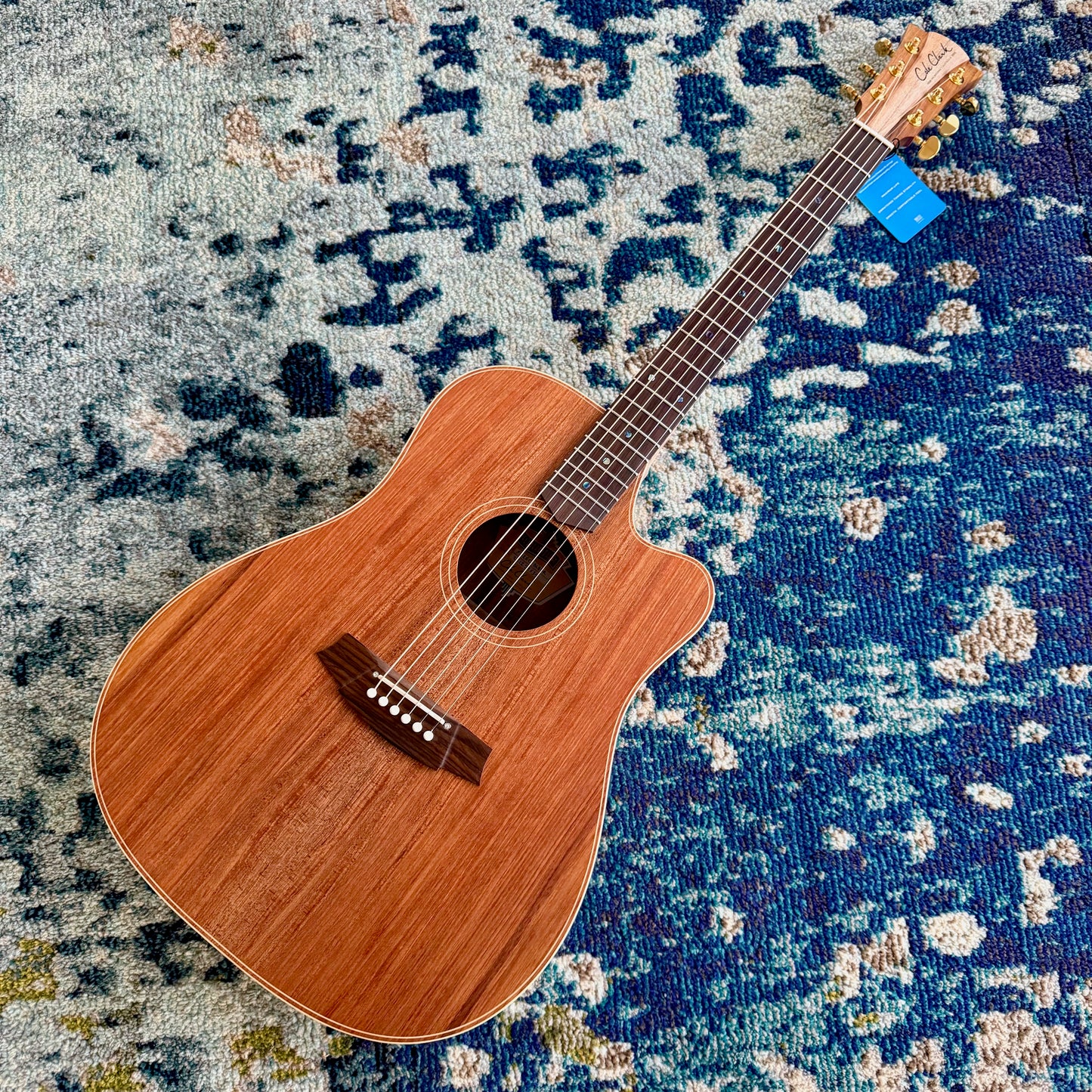 Cole Clark FL2EC-BLBLR Touring Series Dreadnought Acoustic-Electric Guitar, All AA Australian Blackwood with Rosewood Fretboard and Bridge SNRW39534 [NAMM Showcase]