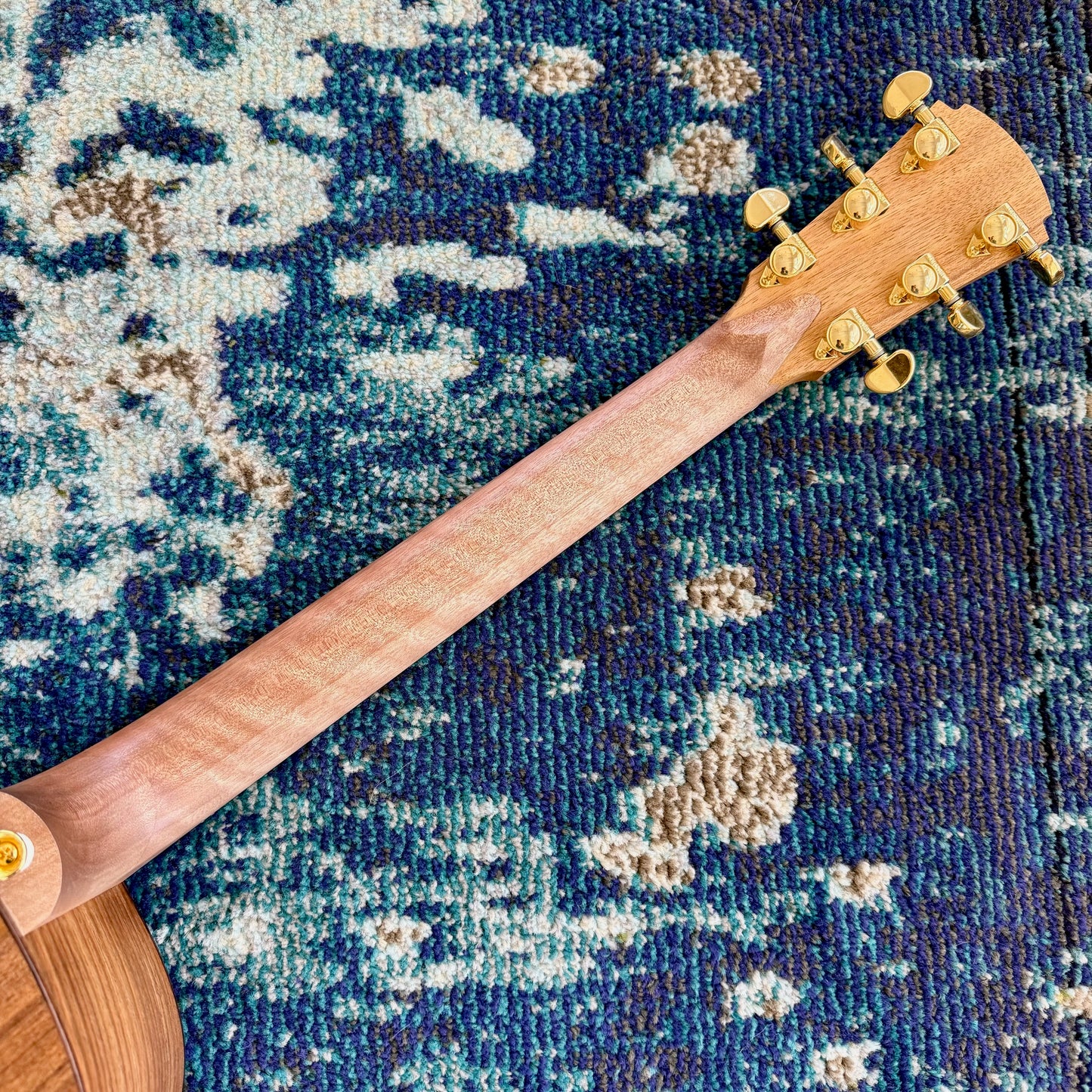 Cole Clark RAN2EC-BBR Recording Series Acoustic-Electric Guitar, Cutaway,  Australian AA Bunya Top,  AA Blackwood Back and Sides,  SNRW311 [NAMM Showcase]