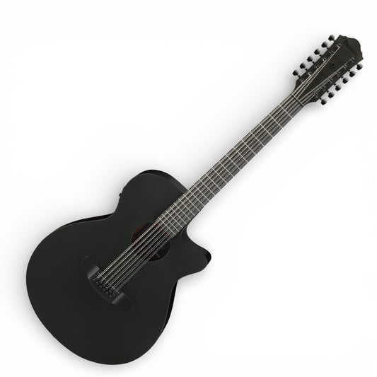 Ibanez AEG1221BOT AEG Series 12-String Acoustic-Electric Guitar, Black Out
