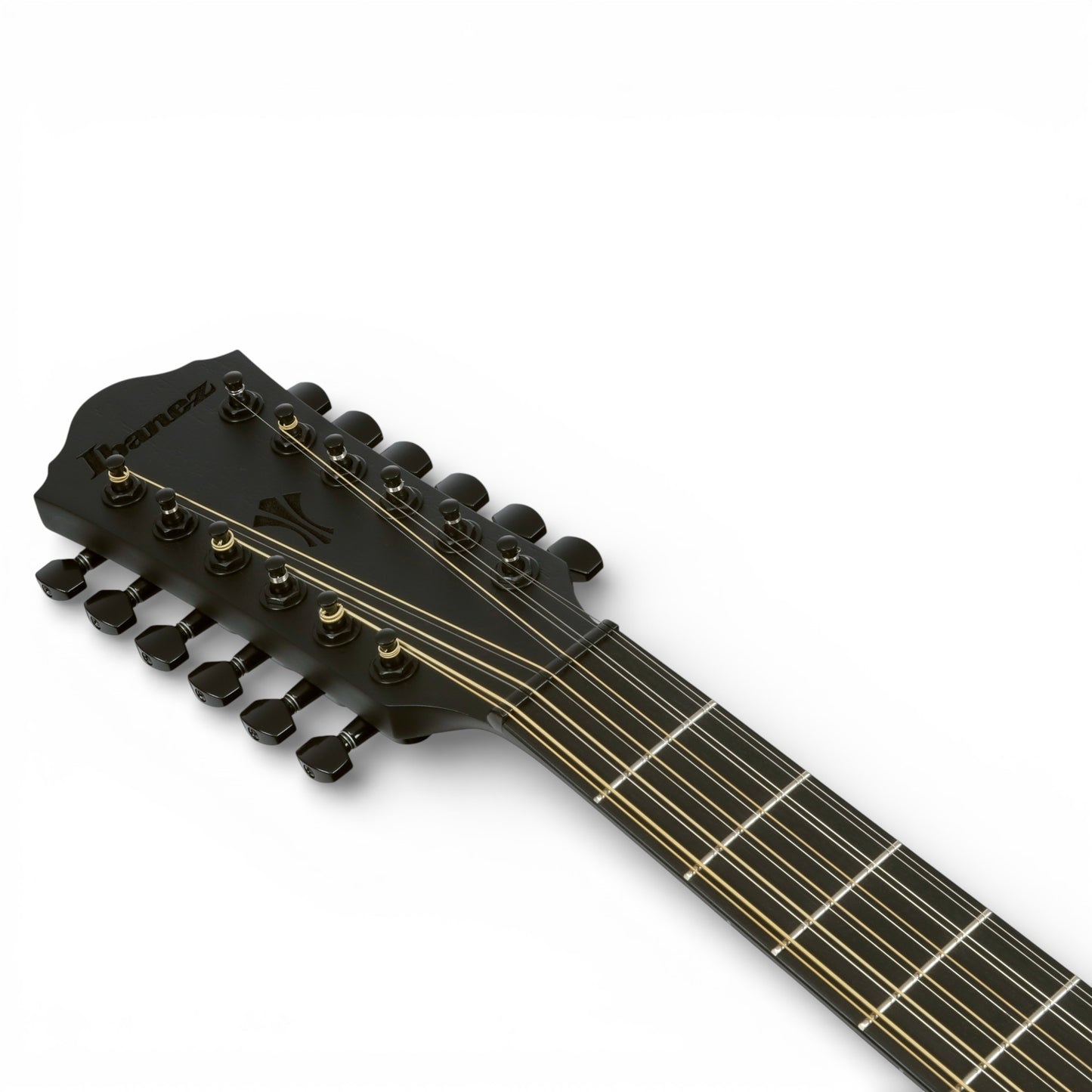 Ibanez AEG1221BOT AEG Series 12-String Acoustic-Electric Guitar, Black Out