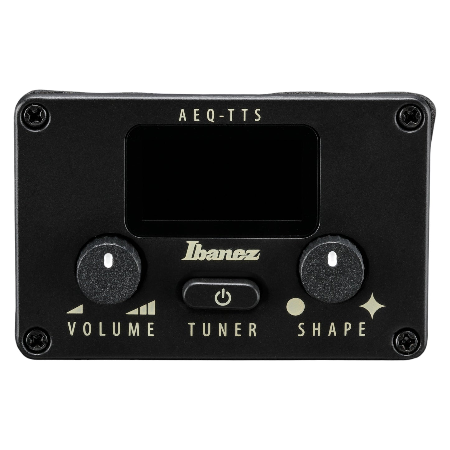 Ibanez AEG1221BOT AEG Series 12-String Acoustic-Electric Guitar, Black Out