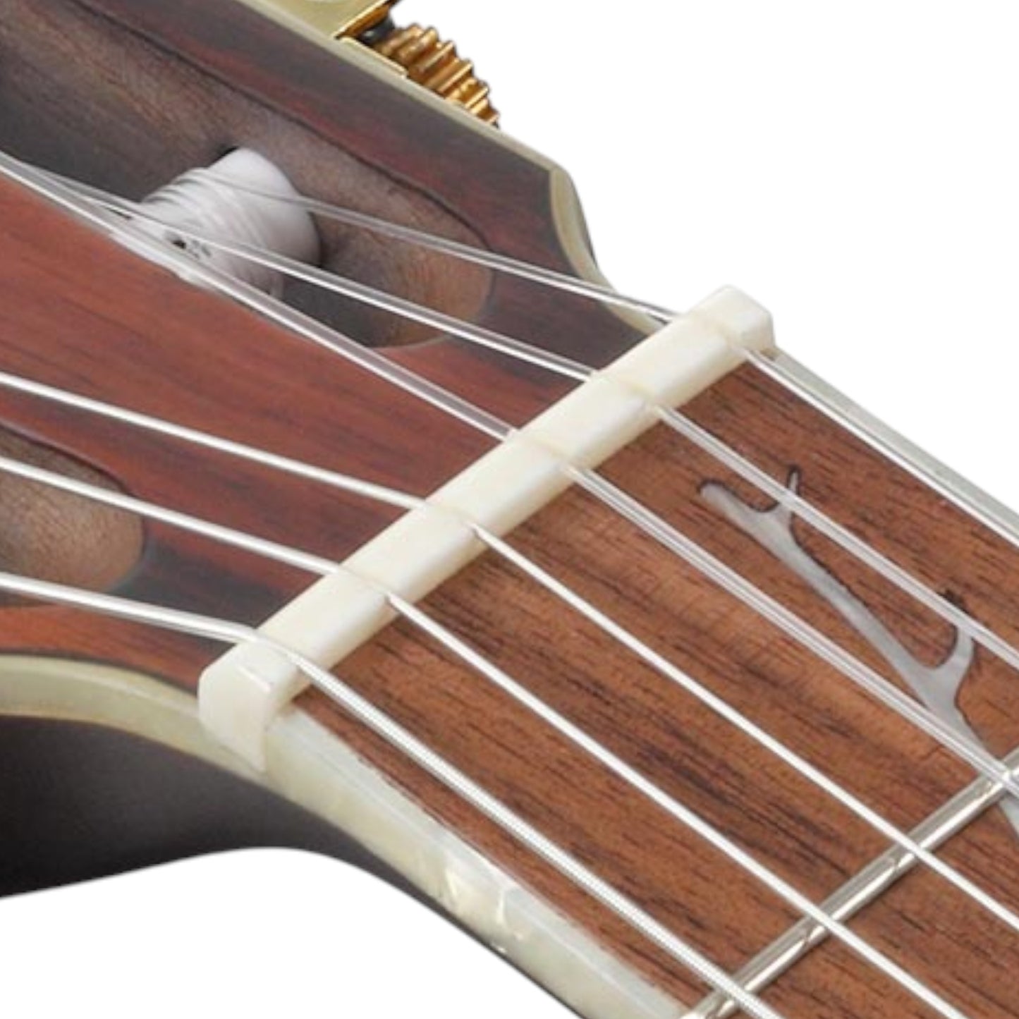 Ibanez TOD10NTF Tim Henson Signature Nylon Acoustic-Electric Guitar