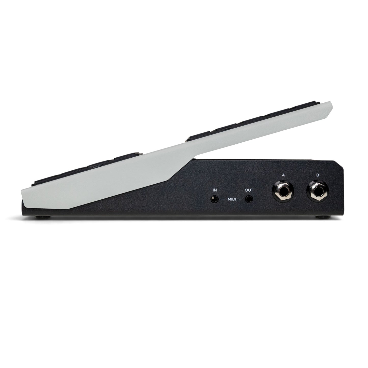 Walrus Audio Canvas Expression Pedal with Dual Outputs (Exp, Control or CV) plus MIDI
