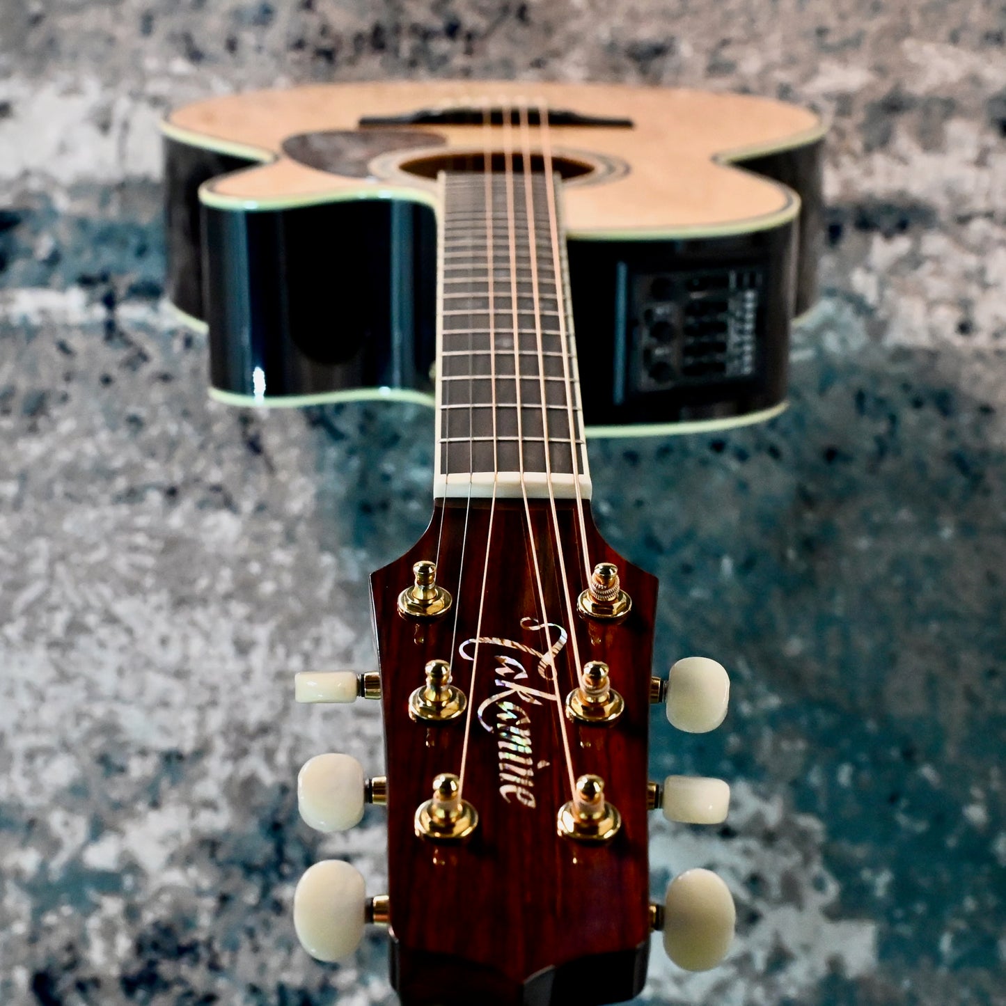 Takamine RNV460C Revival Limited Edition NEX Acoustic-Electric Guitar w/ Case
