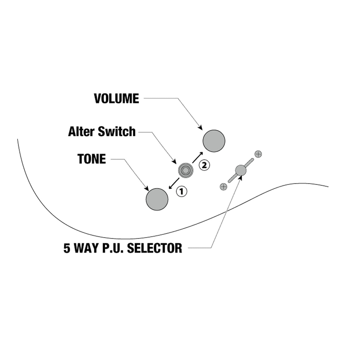 Ibanez AZ2204NW Controls Diagram