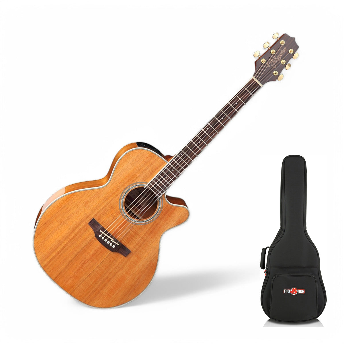 Guitar with Pig Hog PHGBA gig bag