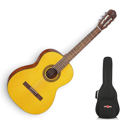 Guitar with Pig Hog PHGBA gig bag
