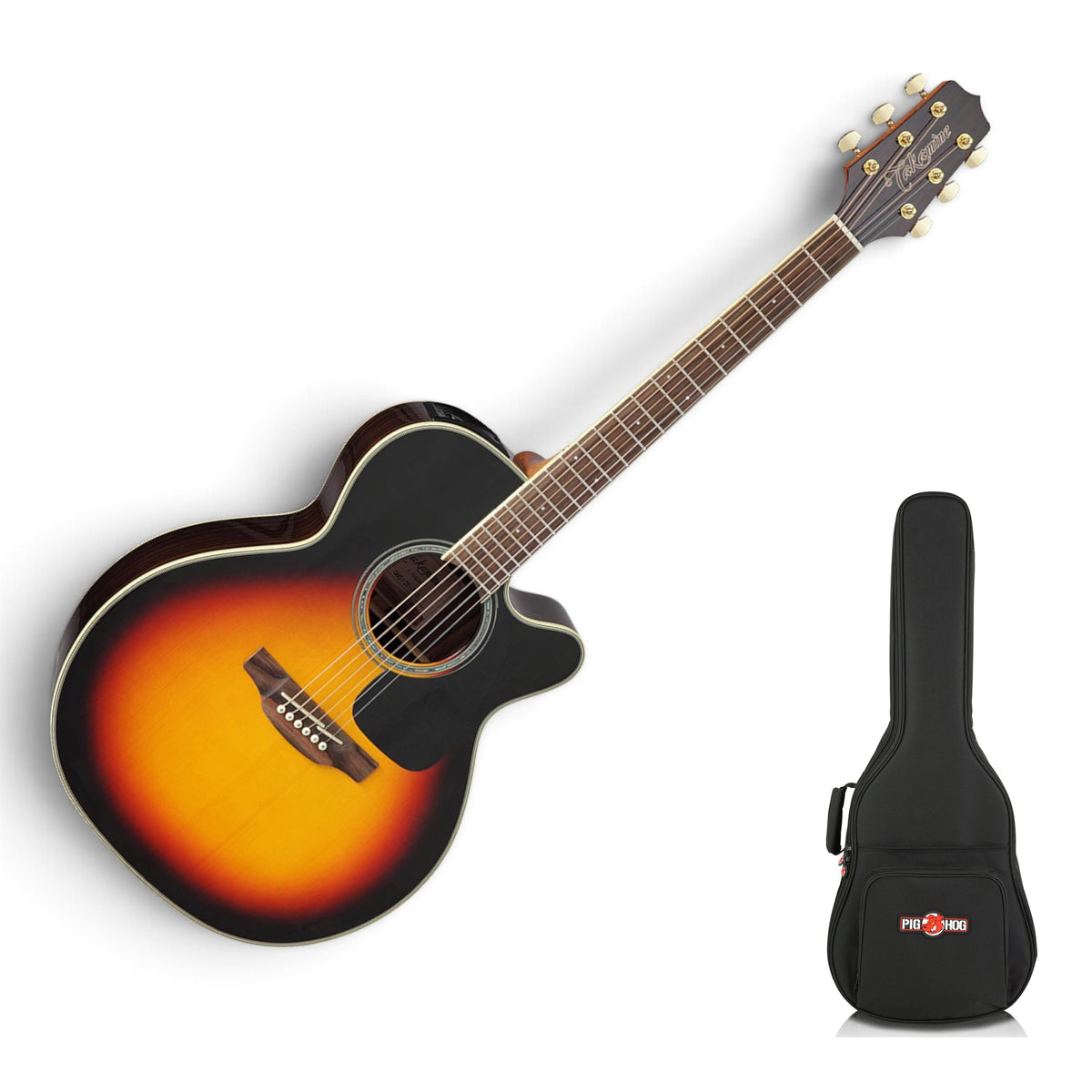 Guitar with Pig Hog PHGBA gig bag