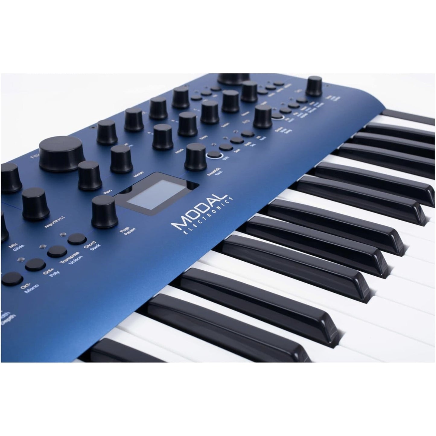 Modal Electronics Cobalt8 8-Voice Extended Virtual-Analog Synthesizer with 37 Keys