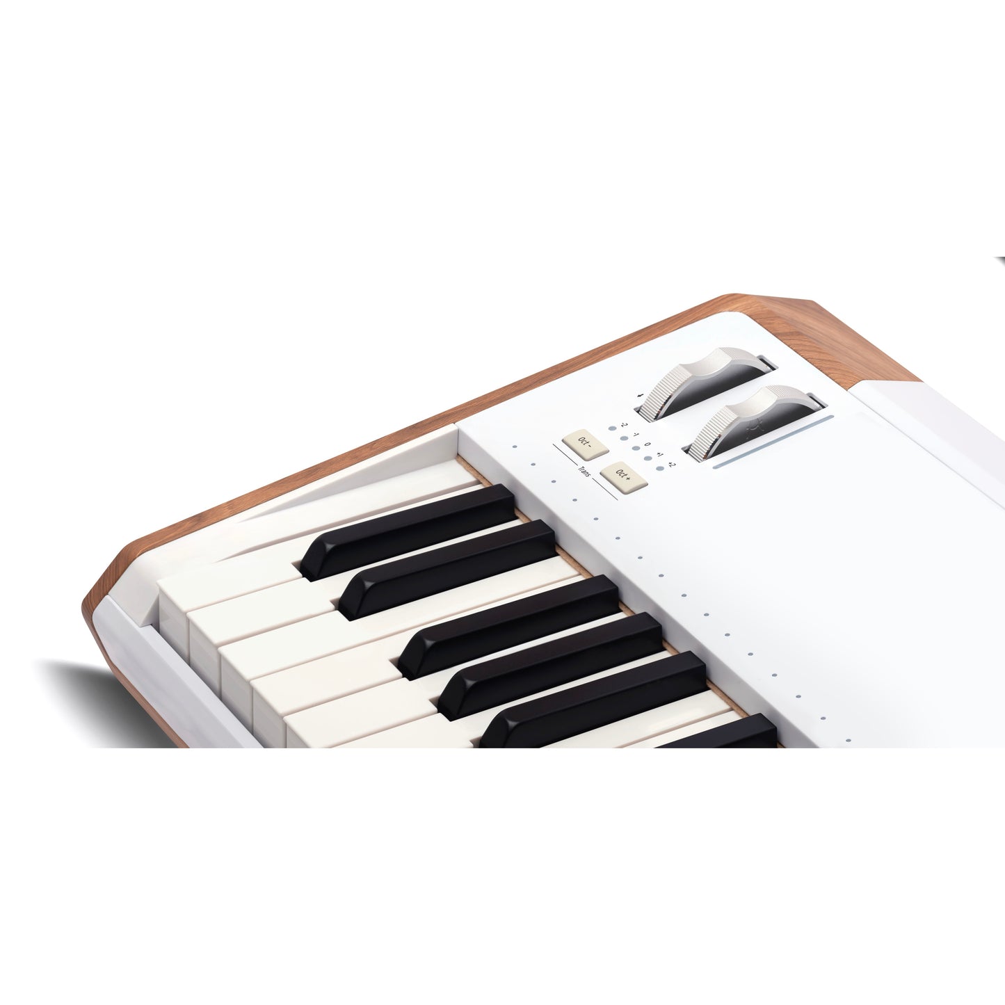 Arturia AstroLab 61-Key Stage Keyboard