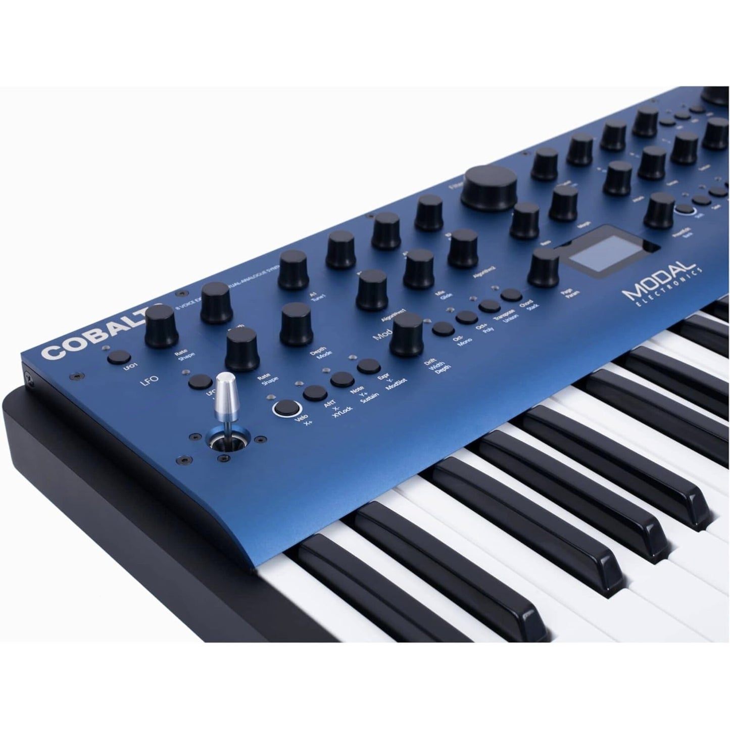 Modal Electronics Cobalt8 8-Voice Extended Virtual-Analog Synthesizer with 37 Keys