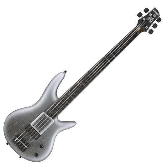 Ibanez Premium Gary Willis Signature 5-String Fretless Electric Bass w/Bag - Silver Wave Burst Flat (2024 Model Closeout)