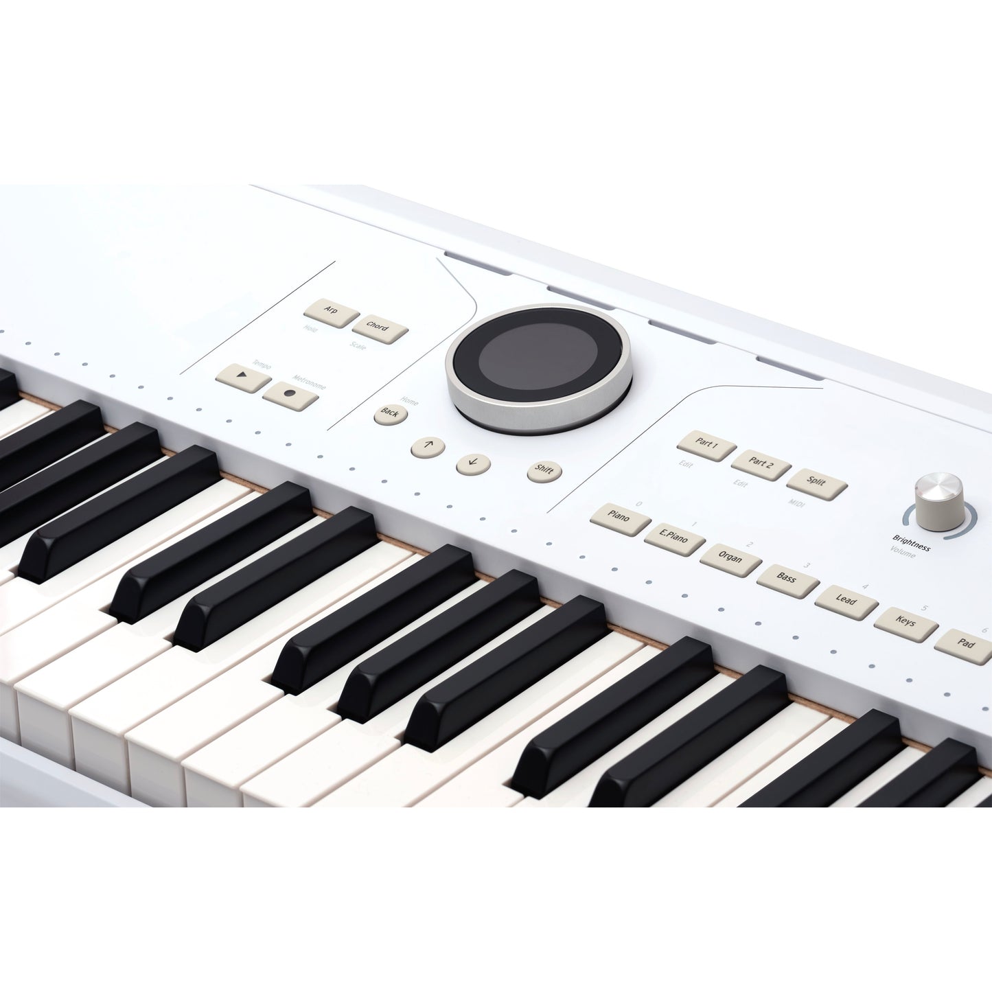 Arturia AstroLab 61-Key Stage Keyboard