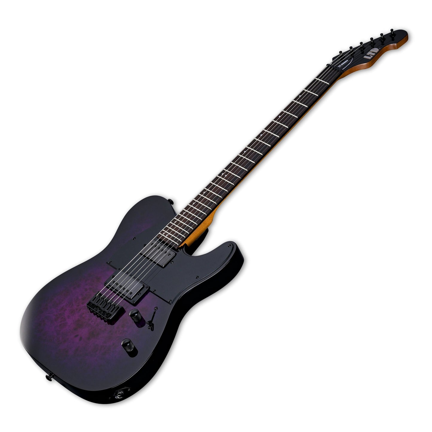 ESP LTD TE200DX Electric Guitar - Purple Burst, LTE200DXPRB